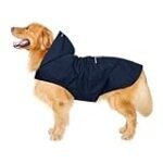 Los mejores impermeables para caballos bajo la lluvia: ¡Protección garantizada!