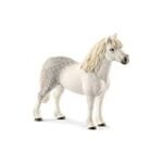 Guía de compra: los mejores productos para un welsh pony