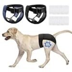 Pants para perro: ¿Son adecuados para proteger a tu caballo? Comparativa de los mejores productos del mercado