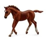 Análisis de precios: Caballo Pura Sangre - Descubre los mejores productos para tu equino de raza