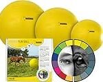 Los 5 mejores productos para practicar Horseball: Análisis y comparativa