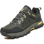 Análisis comparativo: las mejores zapatillas para el Camino de Santiago 2024 para jinetes y sus caballos