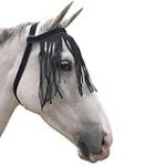 Guía de Compra: Las Mejores Frontaleras para Caballos del Mercado