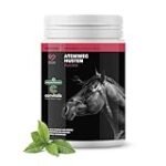 Análisis de los mejores remedios caseros para caballos que se rascan: ¡Descubre cómo aliviar a tu caballo de forma natural!