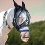 Análisis y comparativa de los mejores productos para caballos de alta gama: ¡Cuidando la salud y el bienestar de tu caballo!