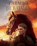 Análisis detallado del caballo de batalla: Los mejores productos para el cuidado y rendimiento equino