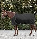 Guía de Compra: Las Mejores Mantas para Caballos de Exterior del Mercado