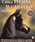 Análisis y comparativa de los mejores productos para el caballo deportivo: ¡Equípalo como un verdadero atleta!