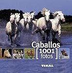 Análisis y comparativa: Descubre todo sobre la raza de caballo más grande y los productos ideales para su cuidado