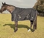 Guía de compra: Las mejores mantas exteriores para caballo en 2021