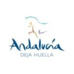 Análisis y comparativa de los mejores productos para caballos en el entorno real ecuestre de Jerez