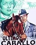 Guía de compra: Los mejores productos para tu caballo