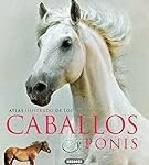 Análisis y comparativa: Los mejores productos para caballos y ponys