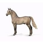 Análisis y comparativa de los mejores productos para Caballos de la raza Morgan: ¡Descubre cuáles son ideales para tu ejemplar!