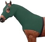 Análisis y comparativa: ¿Cuál es el mejor colchón de crin de caballo para tu caballo?