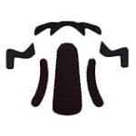 Análisis y comparativa de los mejores cascos de equitación: ¡Descubre el Kask ideal para tu caballo!