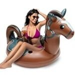 Análisis y comparativa de los mejores purificadores de aire para caballos: ¡Garantiza un ambiente limpio y saludable!