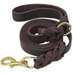 Análisis de correas de cuero para perro: la mejor opción para pasear a tu caballo con estilo