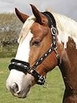 Análisis y comparativa: ¿Cuál es la mejor cabezada para caballo en Decathlon?