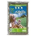 Análisis y comparativa: ¿Cuál es la mejor alfalfa como comida para caballos?