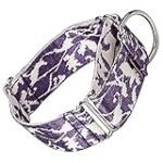 Comparativa de los mejores collares de galgos para un cuidado equino óptimo