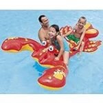 Análisis de los 5 mejores sistemas de limpieza para piscinas de la hípica