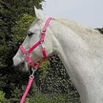 Análisis y comparativa: Los mejores cabezales para caballos del mercado