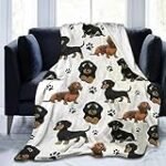 Mantas para perros salchicha: ¿Son aptas para caballos? Análisis y comparativa de las mejores opciones