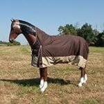 Análisis de las mejores mantas impermeables de invierno para caballos: ¡Protege a tu compañero equino del frío y la humedad!