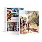 Análisis: Descubre cuál es el caballo más grande de la historia y qué productos son ideales para él