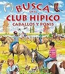 Equipación hípica: Análisis y comparativa de los mejores productos para tu caballo